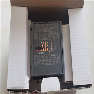 ICS Triplex T8312控制系统现货