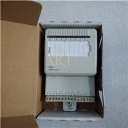 ICS Triplex T8297控制系统模块福建现货