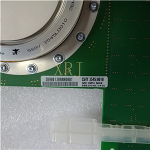 ICS Triplex T8100工控卡件现货