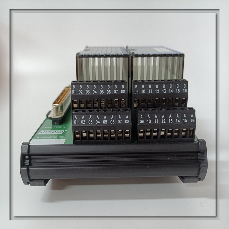 FOXBORO P0916NK模块