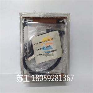 ABB DDO02卡件模块