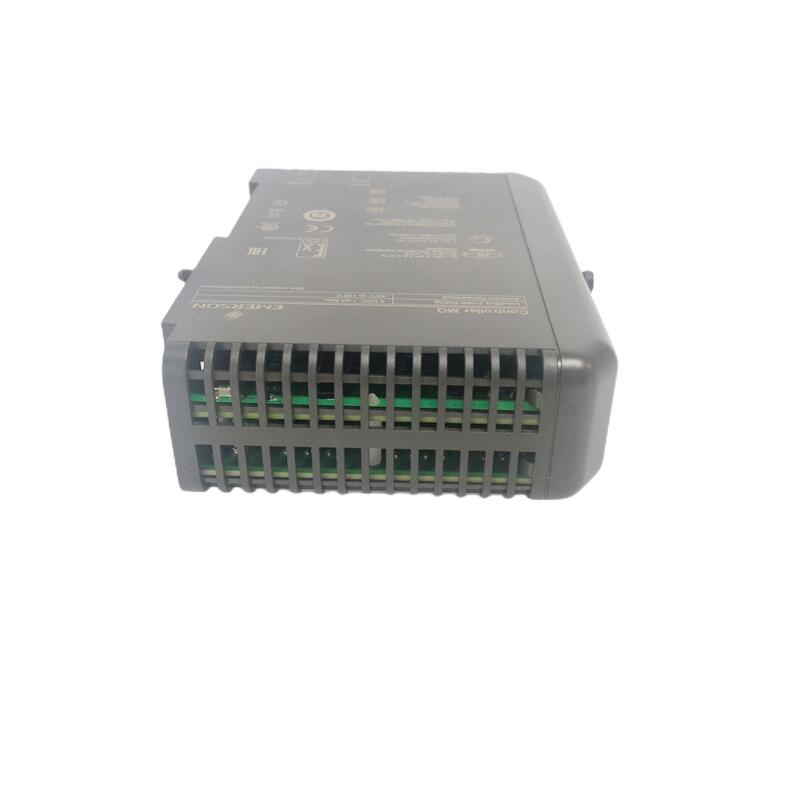 ICS TRIPLEX T8461电源输入模块