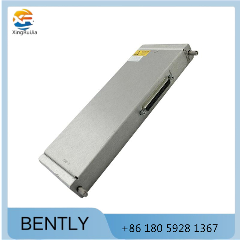 Bently Nevada 133827-02  RTD/TC温度输入/输出模块