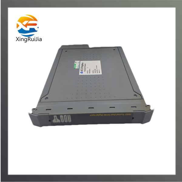 ICS TRIPLEX T9801 数字输入模块