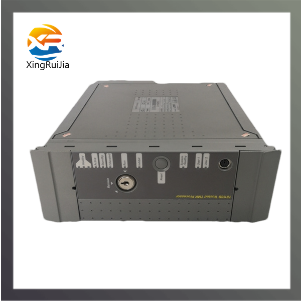 ICS TRIPLEX TC-205-02-4M5   系统模块