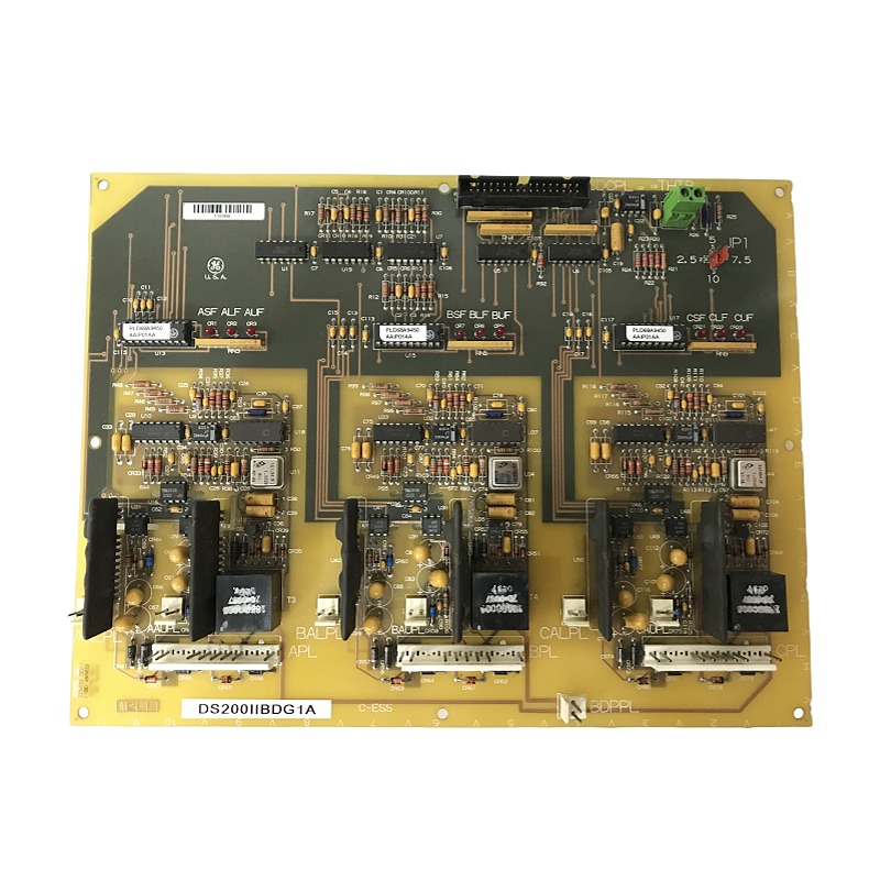 GE DS200IIBDG1A 工业控制模块