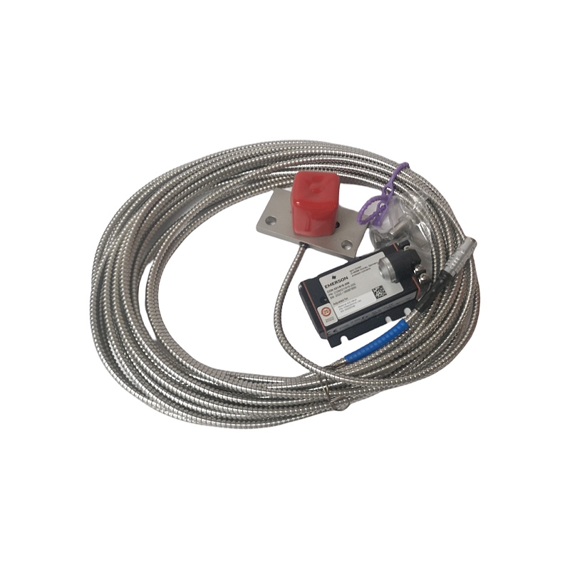 EMERSON PR6426/010-110+C0N021/916-240 功能模块